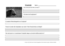 Grizzly-Fragen-1.pdf